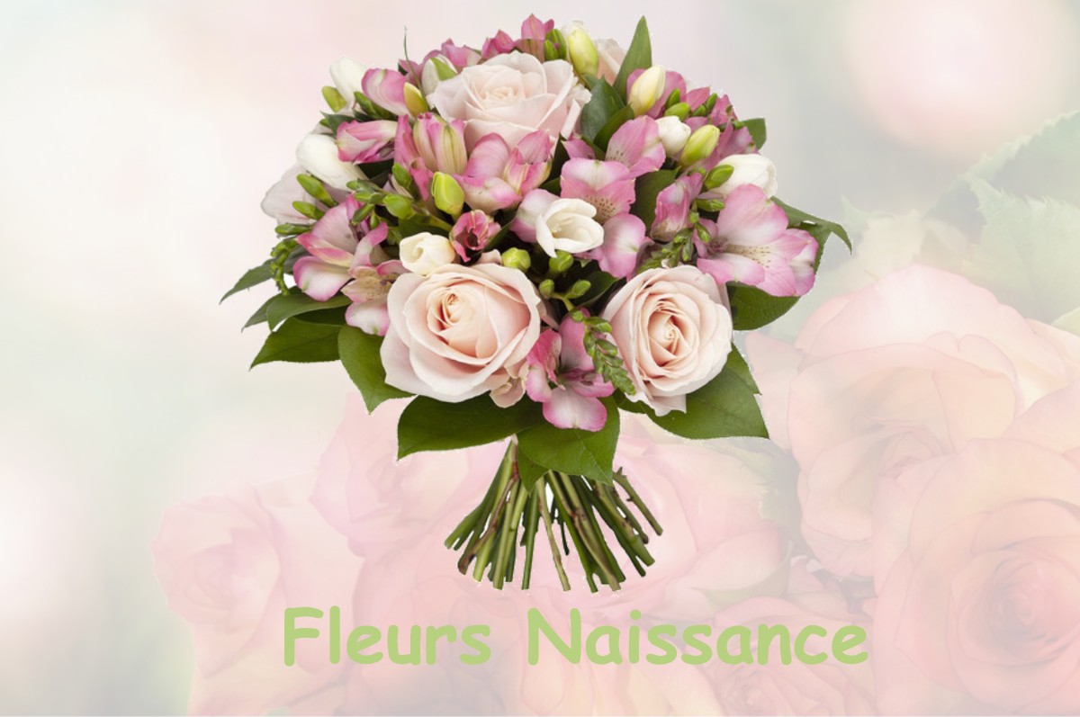 fleurs naissance NICEY-SUR-AIRE