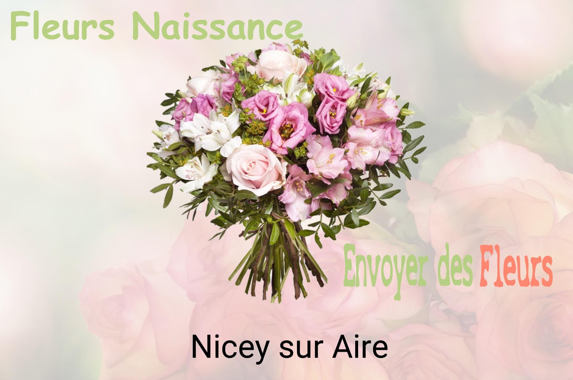 Bouquet de fleurs de naissance livré à Nicey-sur-Aire