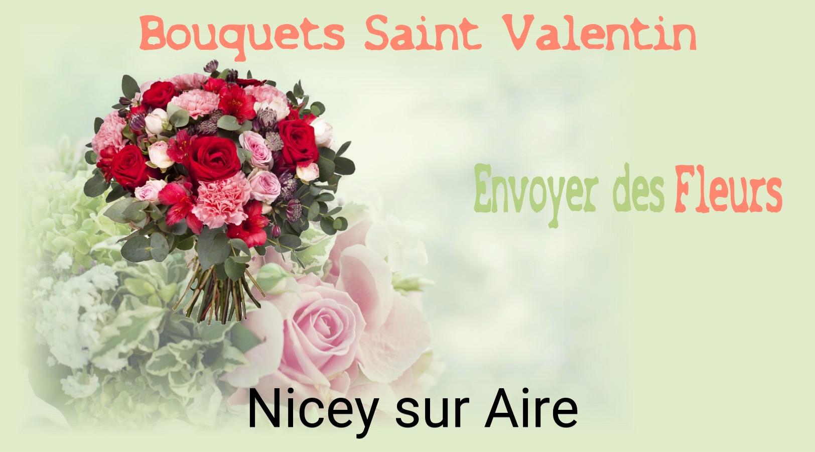 Roses de Saint-Valentin livrées à Nicey-sur-Aire