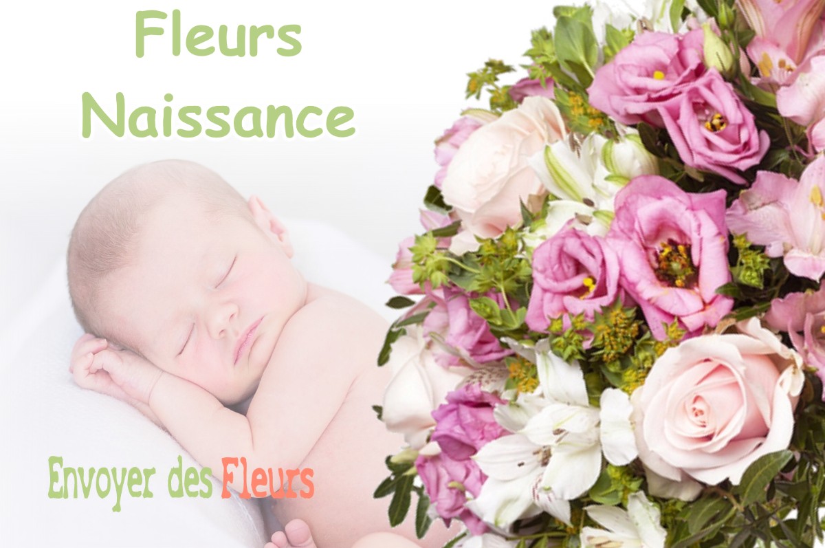 lIVRAISON FLEURS NAISSANCE à NICEY-SUR-AIRE