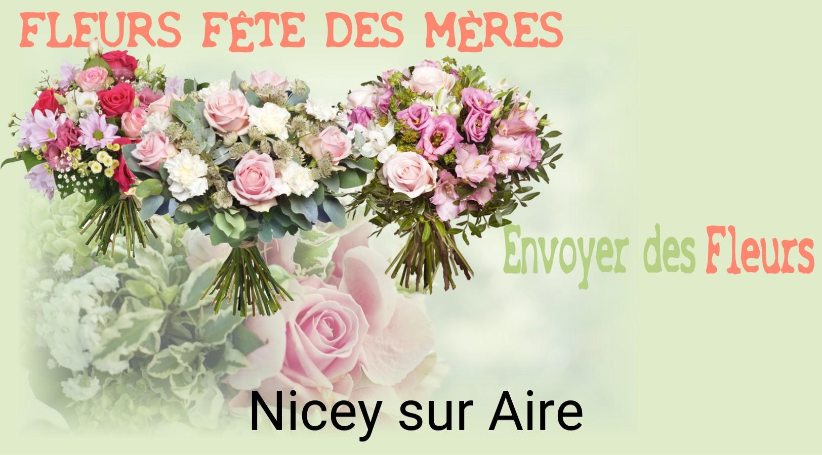 Bouquet de Fête des Mères livré à Nicey-sur-Aire